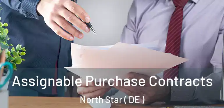  Assignable Purchase Contracts North Star ( DE )