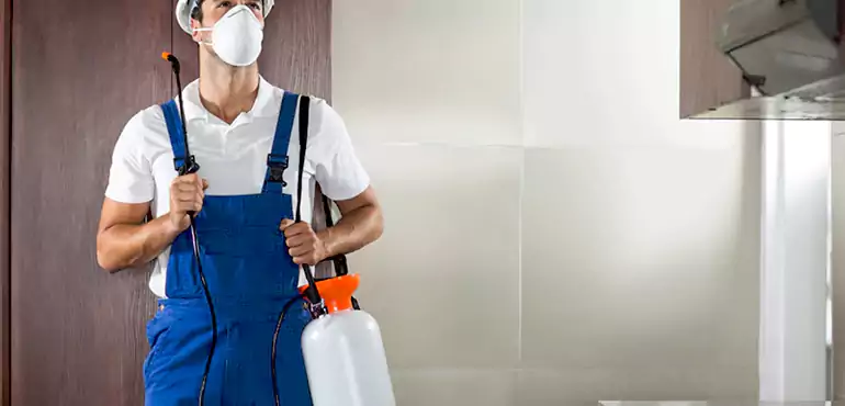Why Delaware Homeowners Choose Us When Pests Make Selling Difficult