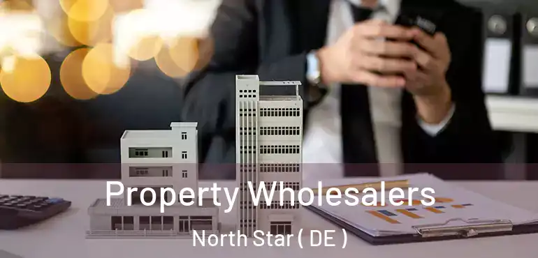  Property Wholesalers North Star ( DE )