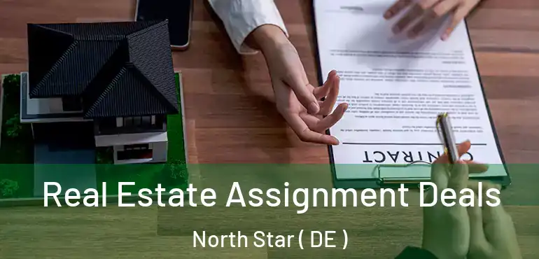  Real Estate Assignment Deals North Star ( DE )