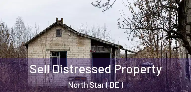  Sell Distressed Property North Star ( DE )