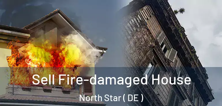  Sell Fire-damaged House North Star ( DE )