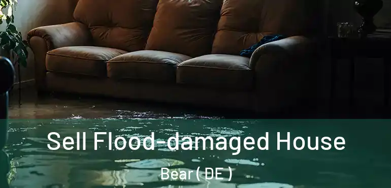  Sell Flood-damaged House Bear ( DE )