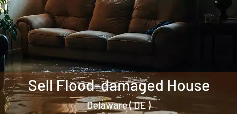  Sell Flood-damaged House Delaware ( DE )
