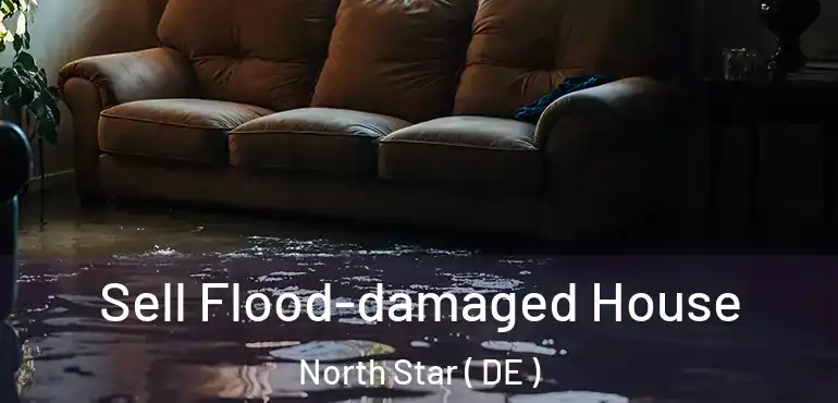  Sell Flood-damaged House North Star ( DE )