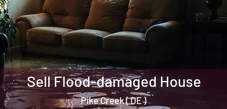  Sell Flood-damaged House Pike Creek ( DE )