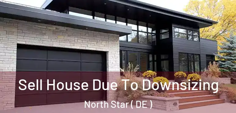  Sell House Due To Downsizing North Star ( DE )