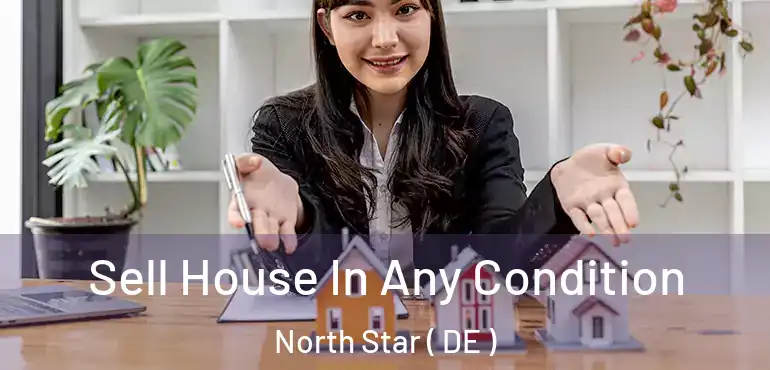  Sell House In Any Condition North Star ( DE )