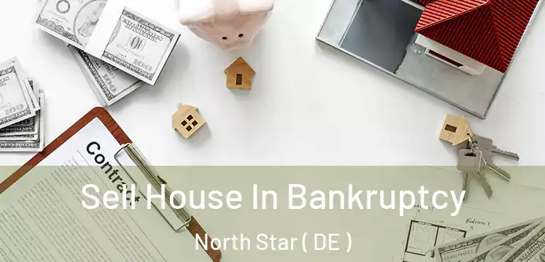  Sell House In Bankruptcy North Star ( DE )
