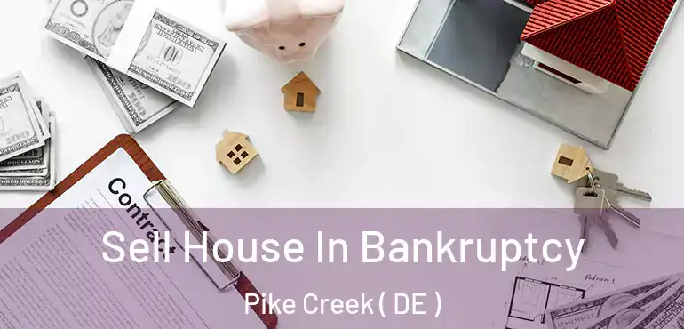  Sell House In Bankruptcy Pike Creek ( DE )