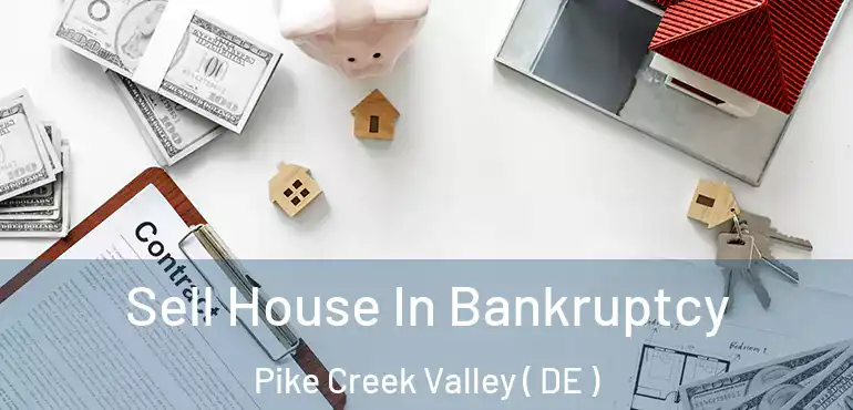  Sell House In Bankruptcy Pike Creek Valley ( DE )