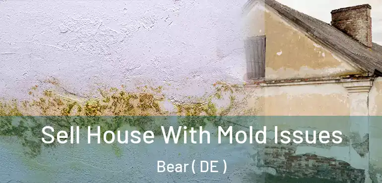  Sell House With Mold Issues Bear ( DE )