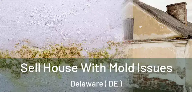  Sell House With Mold Issues Delaware ( DE )