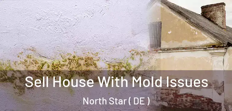 Sell House With Mold Issues North Star ( DE )