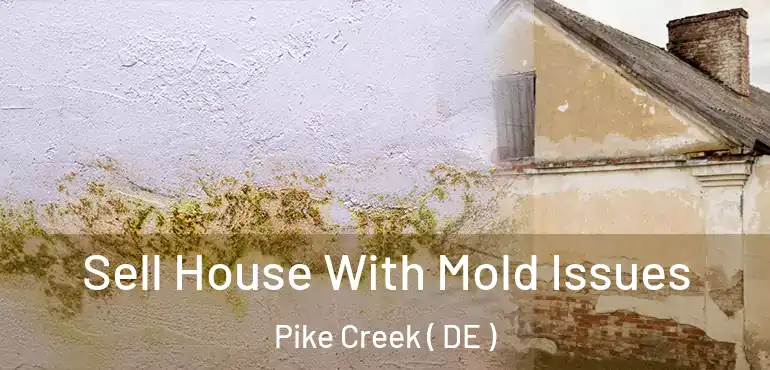  Sell House With Mold Issues Pike Creek ( DE )