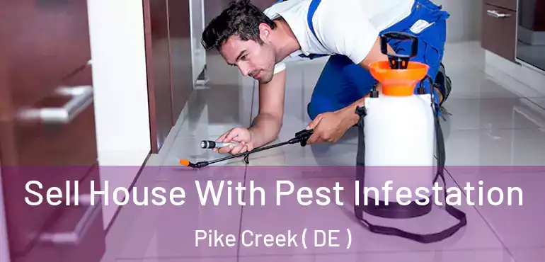  Sell House With Pest Infestation Pike Creek ( DE )