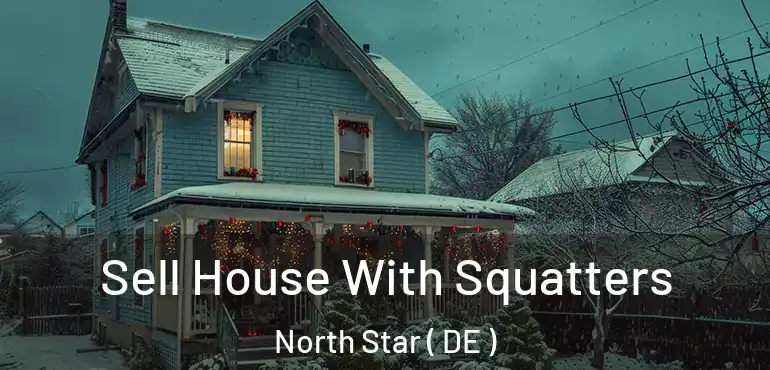  Sell House With Squatters North Star ( DE )