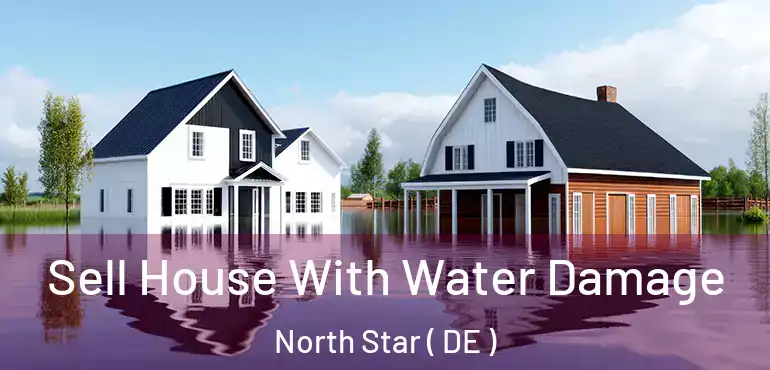  Sell House With Water Damage North Star ( DE )