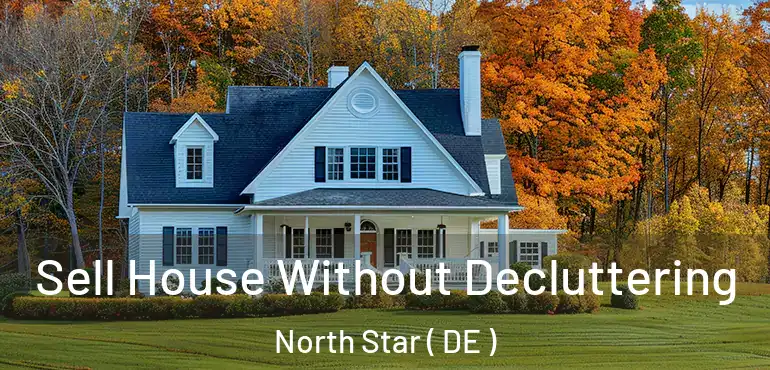  Sell House Without Decluttering North Star ( DE )