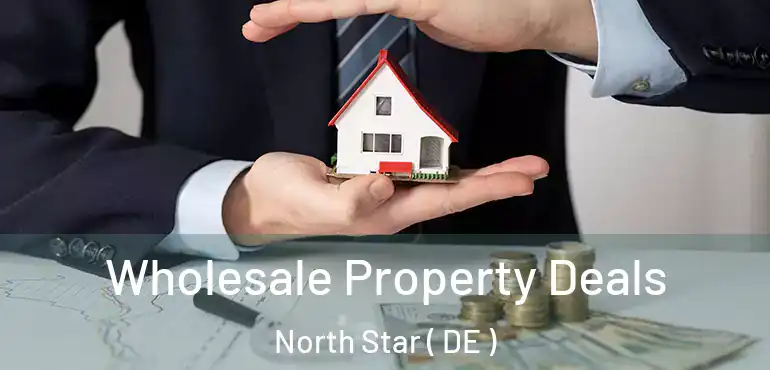  Wholesale Property Deals North Star ( DE )